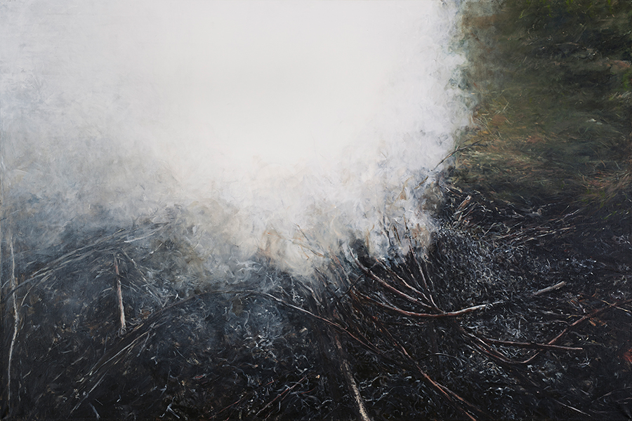 DYM 2, 2014, akryl na płótnie, 100 x 150 cm