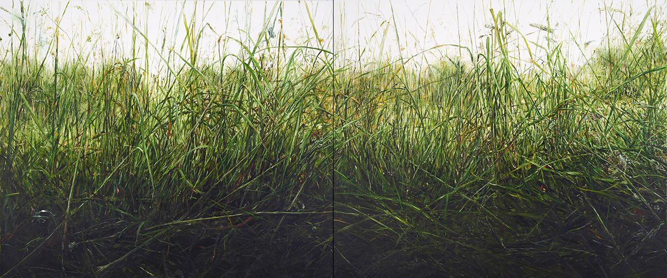 ŁĄKA 2, 2014, akryl na płótnie, 100 x 240 cm