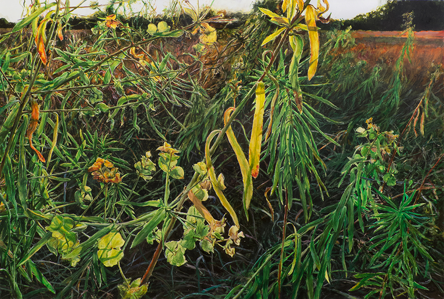 ŁĄKA 7, 2016, akryl na płótnie, 100 x 150 cm