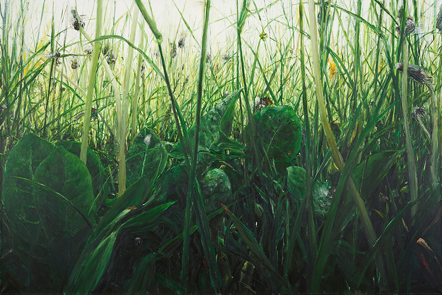 ŁĄKA 1, 2014, akryl na płótnie, 100 x 150 cm