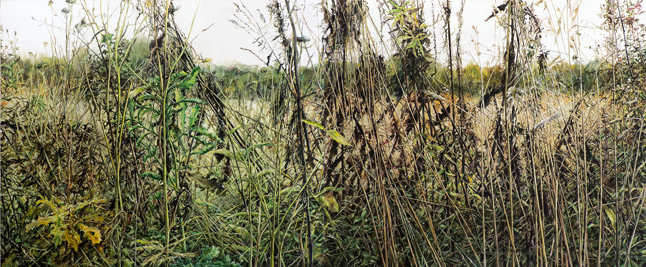 ŁĄKA 6, 2016, akryl na płótnie, 100 x 240 cm