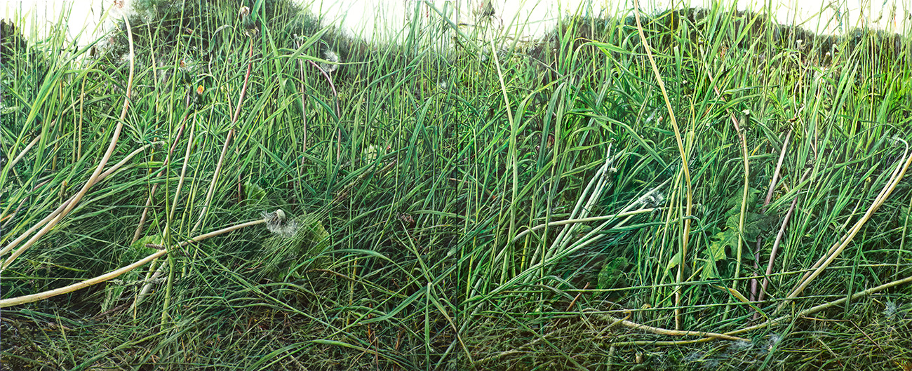 ŁĄKA 8, 2017, akryl na płótnie, 100 x 240 cm
