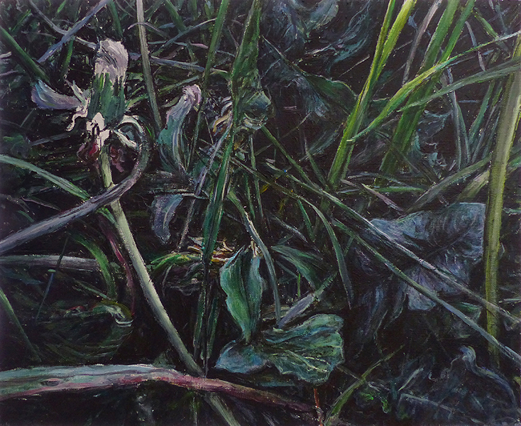 TRAWA 13, 2015, akryl na płótnie, 32,5 x 40 cm