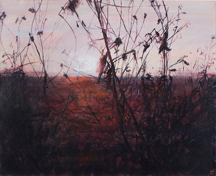 TRAWA 17, 2016, akryl na płótnie, 32,5 x 40 cm