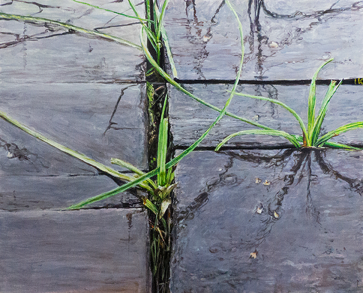 TRAWA 25, 2016, akryl na płótnie, 32,5 x 40 cm