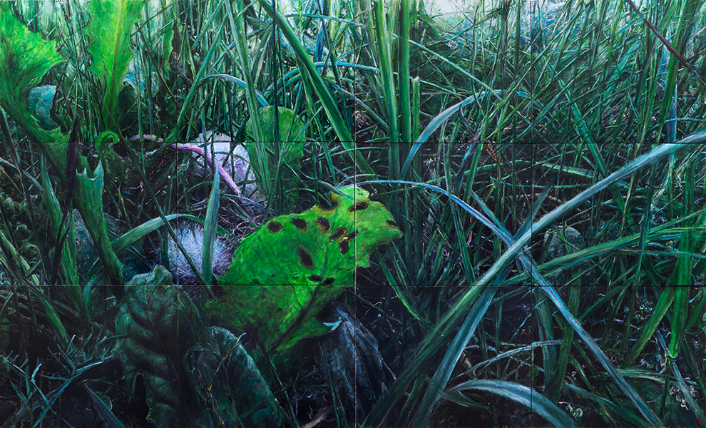 ŁĄKA 5, 2015, akryl na płótnie, 97,5 x 160 cm