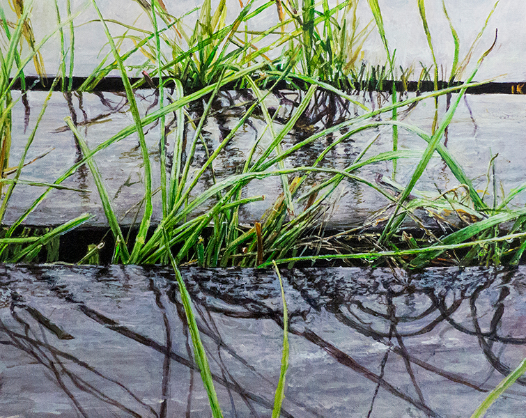 TRAWA 23, 2016, akryl na płótnie, 32,5 x 40 cm