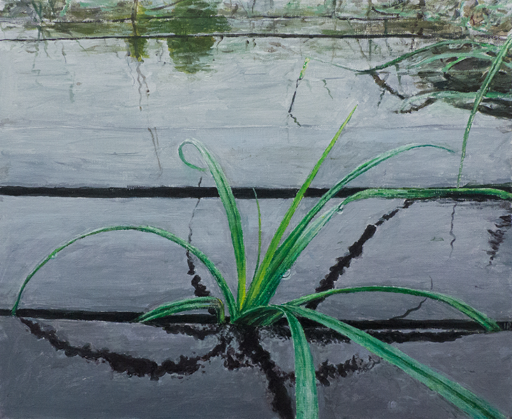 TRAWA 8, 2015, akryl na płótnie, 32,5 x 40 cm