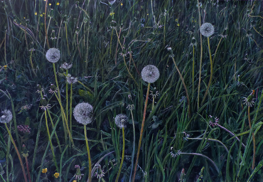 ŁĄKA 11, 2021, akryl na płótnie, 50x72 cm