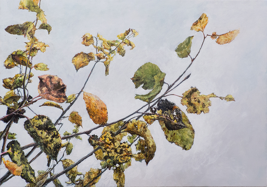 LIŚCIE 1, 2018, akryl na płótnie, 50x70 cm