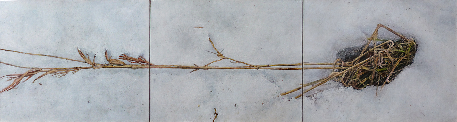 TRAWA 32, 2020, akryl na płótnie, 32,5x120 cm