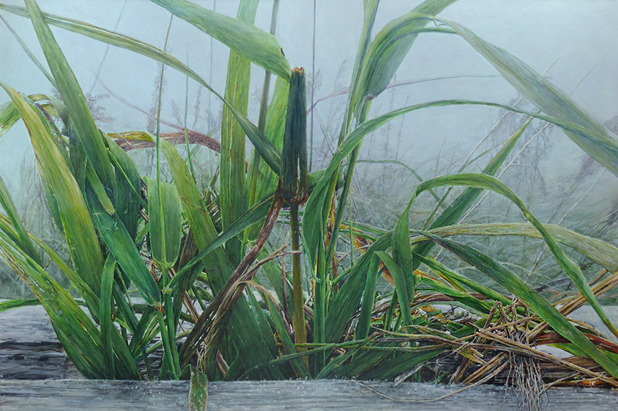 TRAWA 28, 2017/2021, akryl na płótnie, 100x150 cm