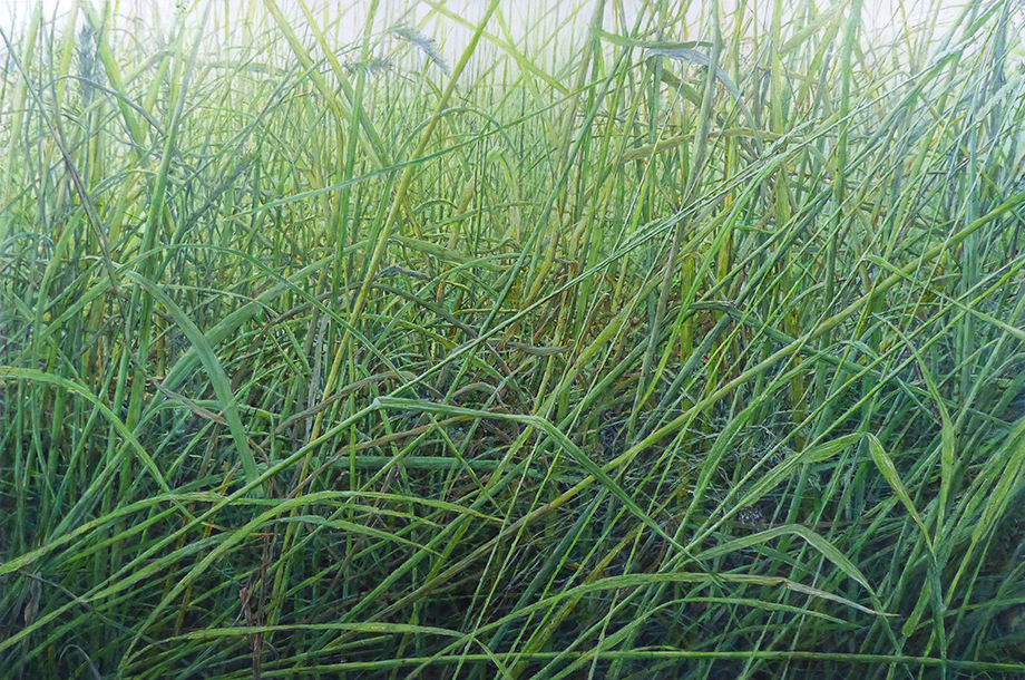 TRAWA 27, 2017/22, akryl na płótnie, 100 x 150 cm