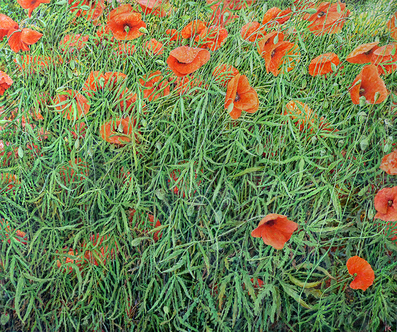 ŁĄKA 13, 2023, akryl na płótnie, 100x120 cm