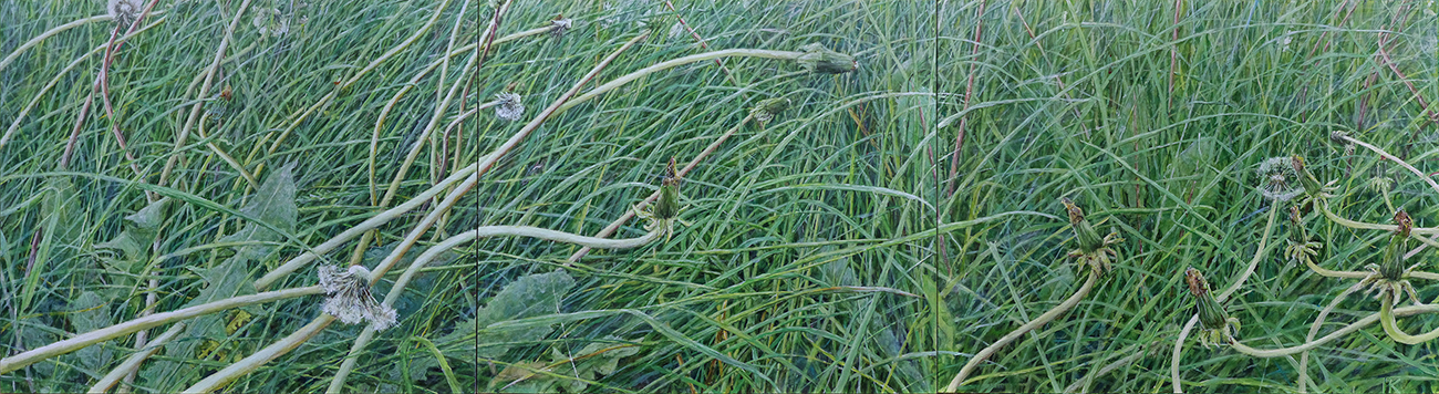 THE GRASS 33, 2022, acrylic on canvas, 32,5×120 cm