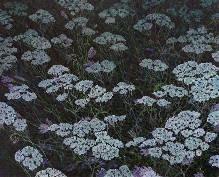 THE MEADOW 14, 2024, acrylic on canvas, 32,5×40 cm