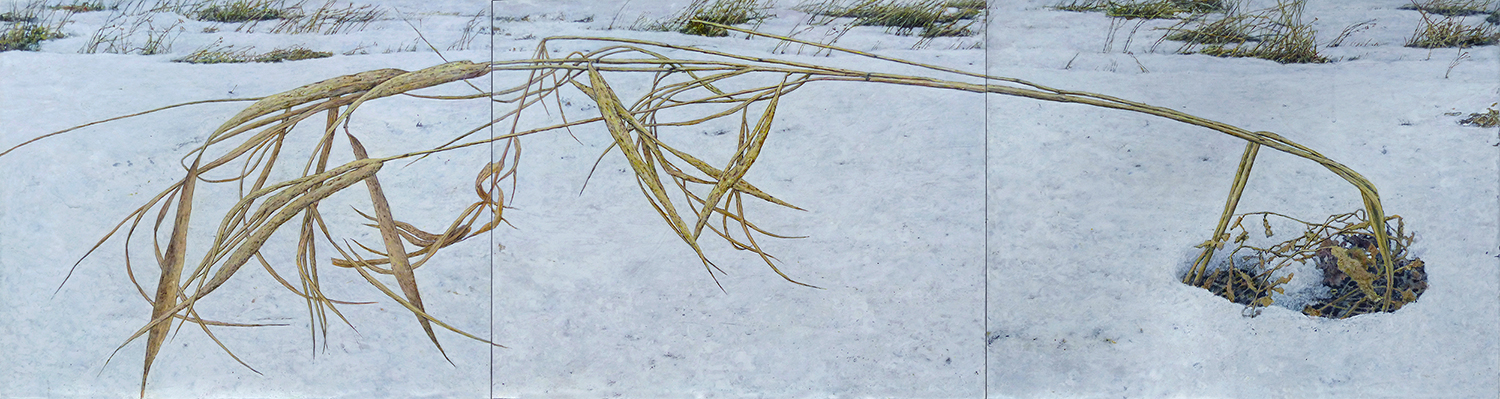 THE GRASS 34, 2024, acrylic on canvas, 32,5×120 cm