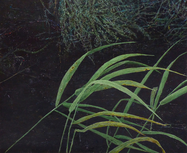 THE GRASS 35, 2024, acrylic on canvas, 32,5×40 cm